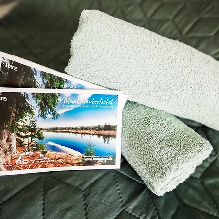 Bergzauber Lodge, Im Harz, Mit Schwimmbad Und Sauna Lejlighed