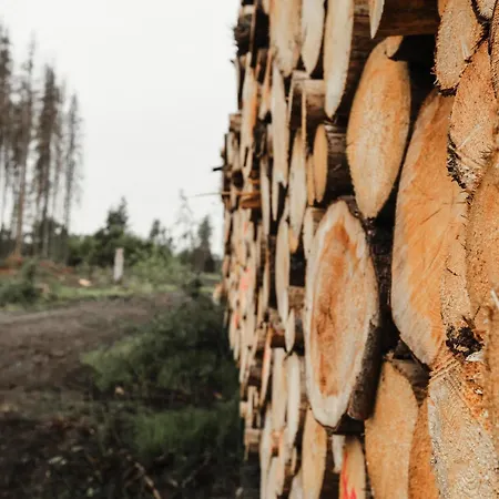 Bergzauber Lodge, Im Harz, Mit Schwimmbad Und Sauna * Braunlage