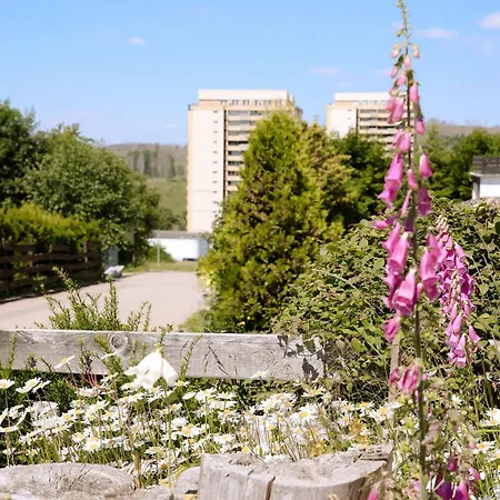 Bergzauber Lodge, Im Harz, Mit Schwimmbad Und Sauna Apartment *
