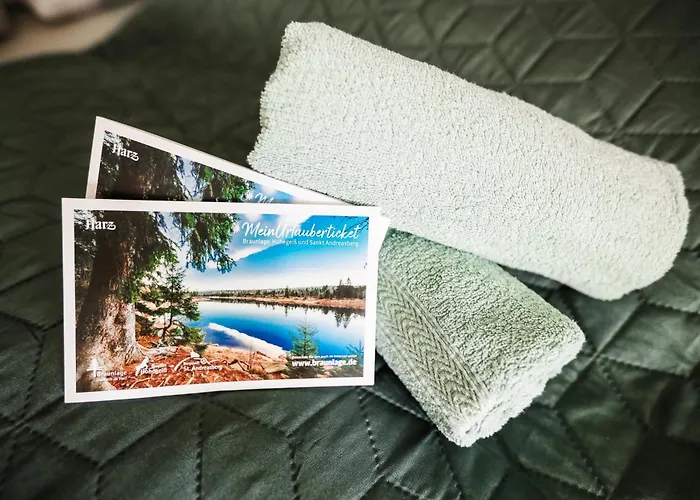 Bergzauber Lodge, Im Harz, Mit Schwimmbad Und Sauna Daire