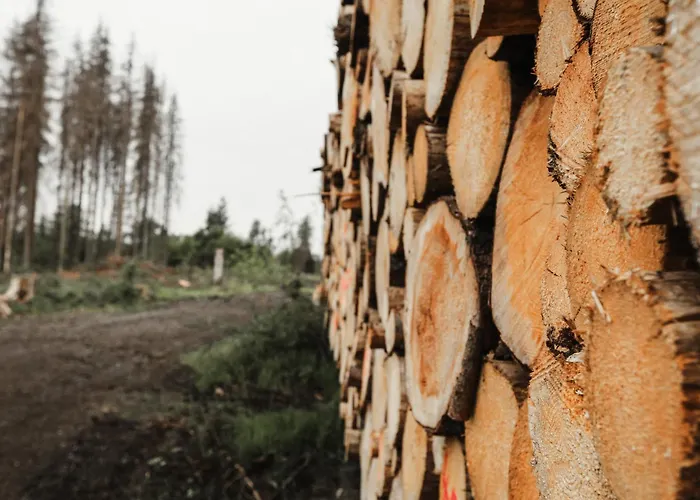 Bergzauber Lodge, Im Harz, Mit Schwimmbad Und Sauna * Braunlage